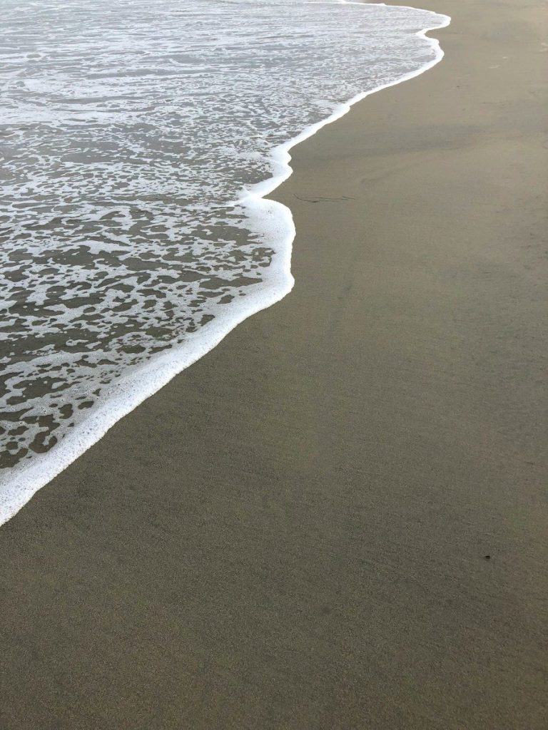 seashore and large body of water